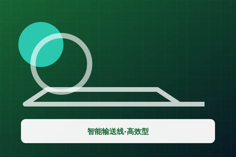 智能输送线·高效型应用示意图