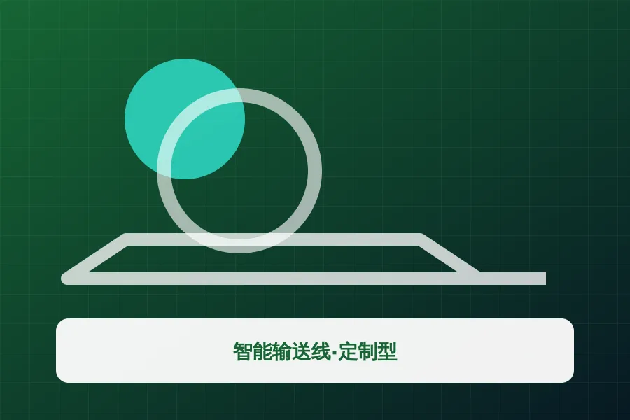 智能输送线·定制型应用示意图